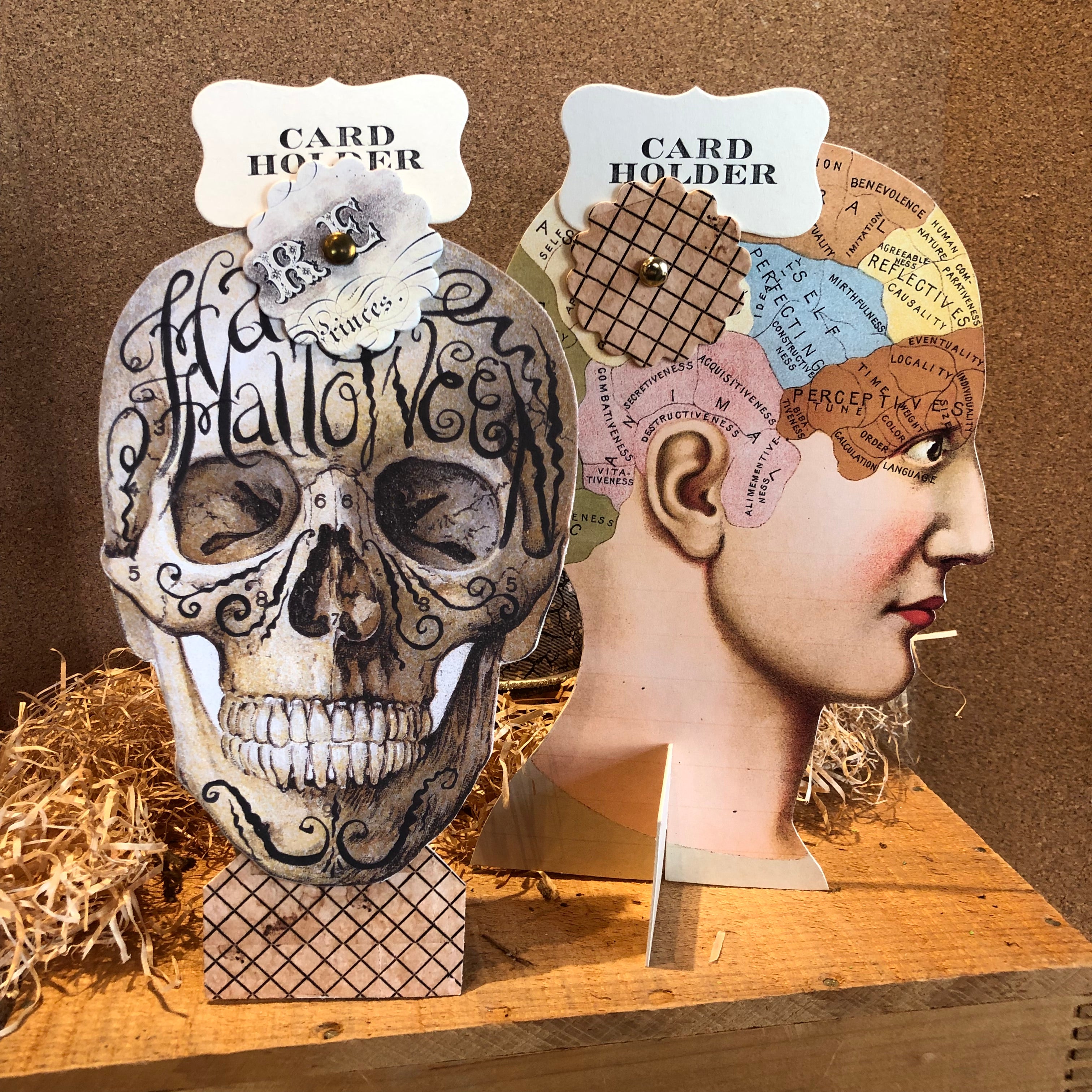 Card Holders - Skull and Phrenology Head