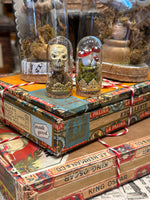 Load image into Gallery viewer, Skull and Mushroom Miniature Domes
