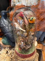 Load image into Gallery viewer, Bird Specimen Domes - Large
