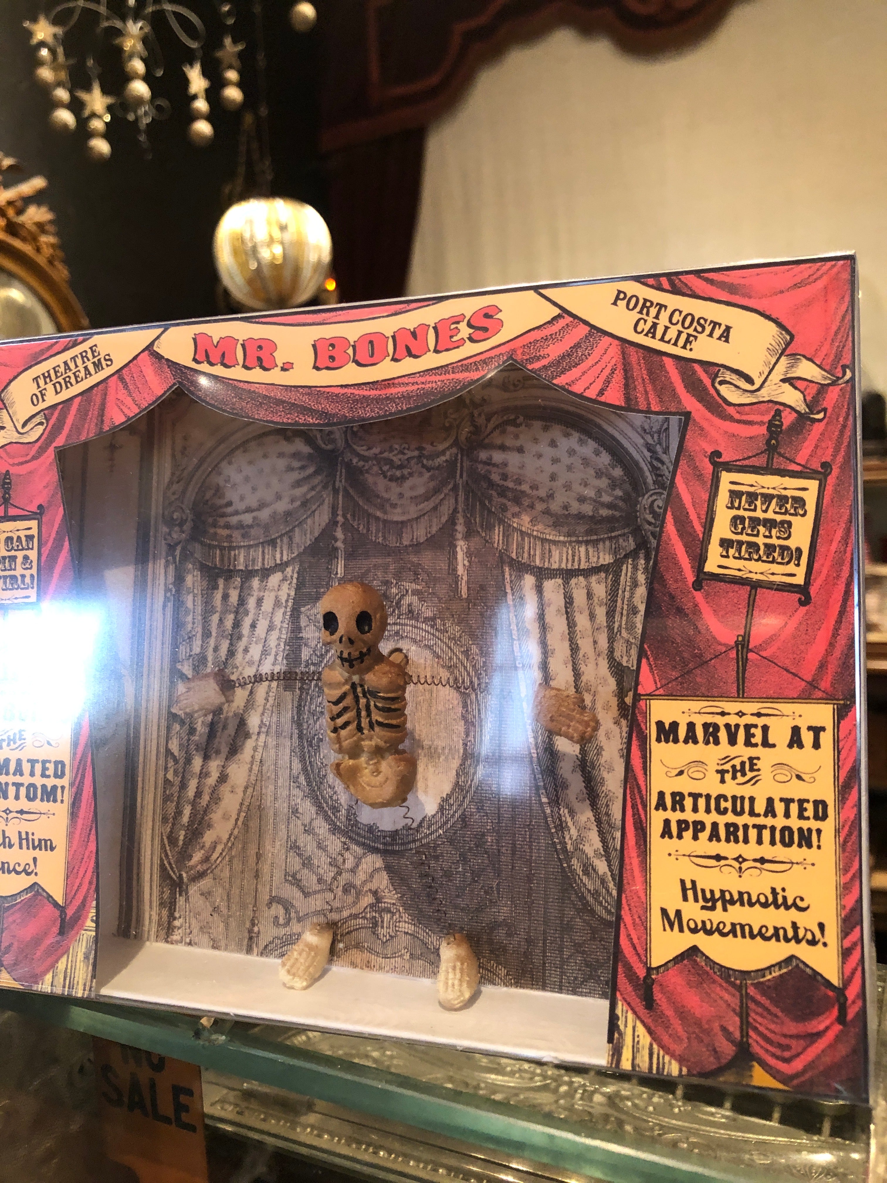 Dancing Mr.Bones Theatre