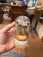 Load image into Gallery viewer, Creepy Eyeball Domes
