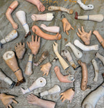 Load image into Gallery viewer, Selection of Body Parts
