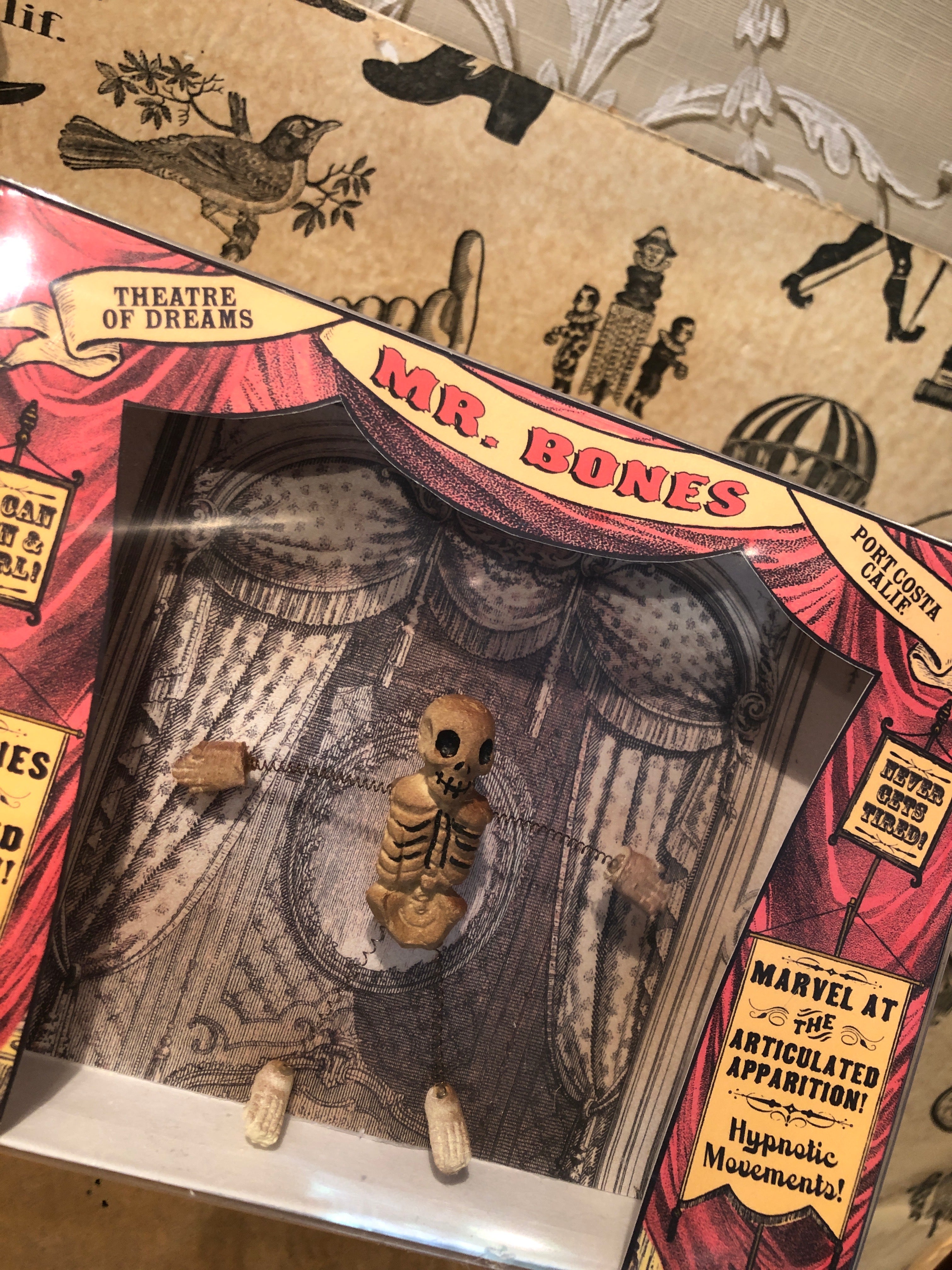Dancing Mr.Bones Theatre