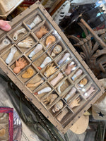 Load image into Gallery viewer, Large Ex Voto Specimen Box
