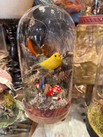 Load image into Gallery viewer, Bird Specimen Domes - Large
