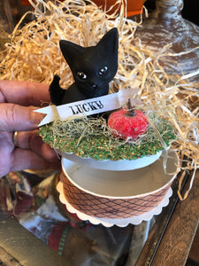 Lucky Black Kitten Box
