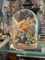 Load image into Gallery viewer, Spun Cotton Bird Specimen Domes
