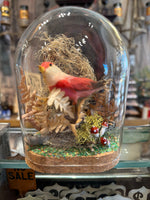 Load image into Gallery viewer, Spun Cotton Bird Specimen Domes
