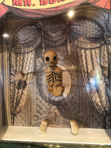Dancing Mr.Bones Theatre