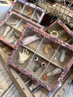Load image into Gallery viewer, Ex Voto Specimen Boxes
