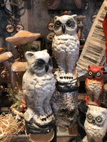 Load image into Gallery viewer, Vintage Cast Owls
