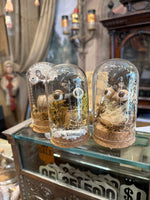 Load image into Gallery viewer, Creepy Eyeball Domes
