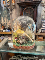 Load image into Gallery viewer, Spun Cotton Bird Specimen Domes
