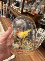Load image into Gallery viewer, Spun Cotton Bird Specimen Domes
