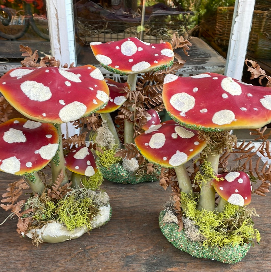 Glittery Display Mushroom Group