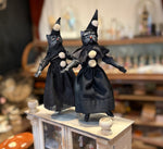 Load image into Gallery viewer, Mystical Witchie Kittens
