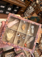 Load image into Gallery viewer, Ex Voto Specimen Boxes
