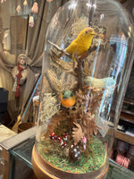 Load image into Gallery viewer, Bird Specimen Domes - Large
