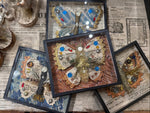 Load image into Gallery viewer, Tinsel Butterfly Specimen under Glass
