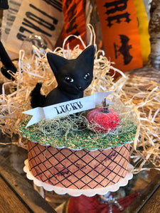 Lucky Black Kitten Box