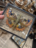 Load image into Gallery viewer, Tinsel Butterfly Specimen under Glass
