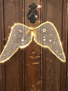 Diaphanous Fairy Wings