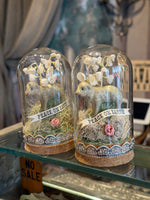 Load image into Gallery viewer, Baby Lamb in Glass Dome
