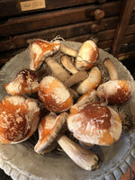 Load image into Gallery viewer, Large Woodland Mushroom Ornament
