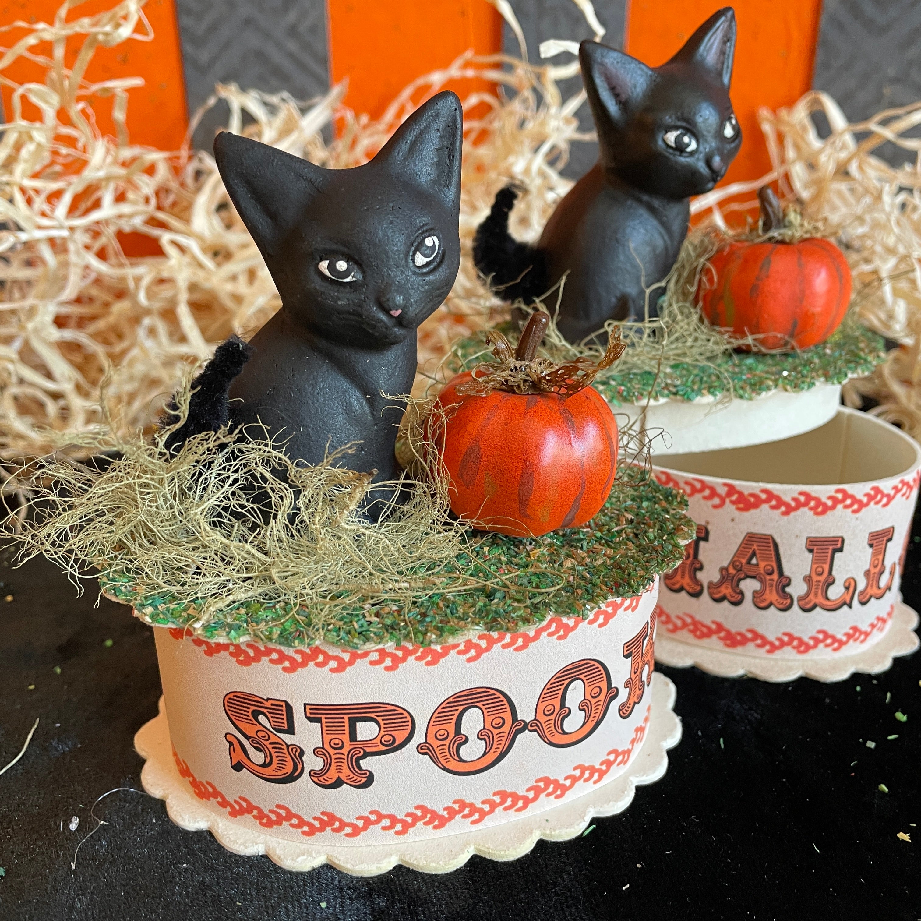 Lucky Black Kitten Box