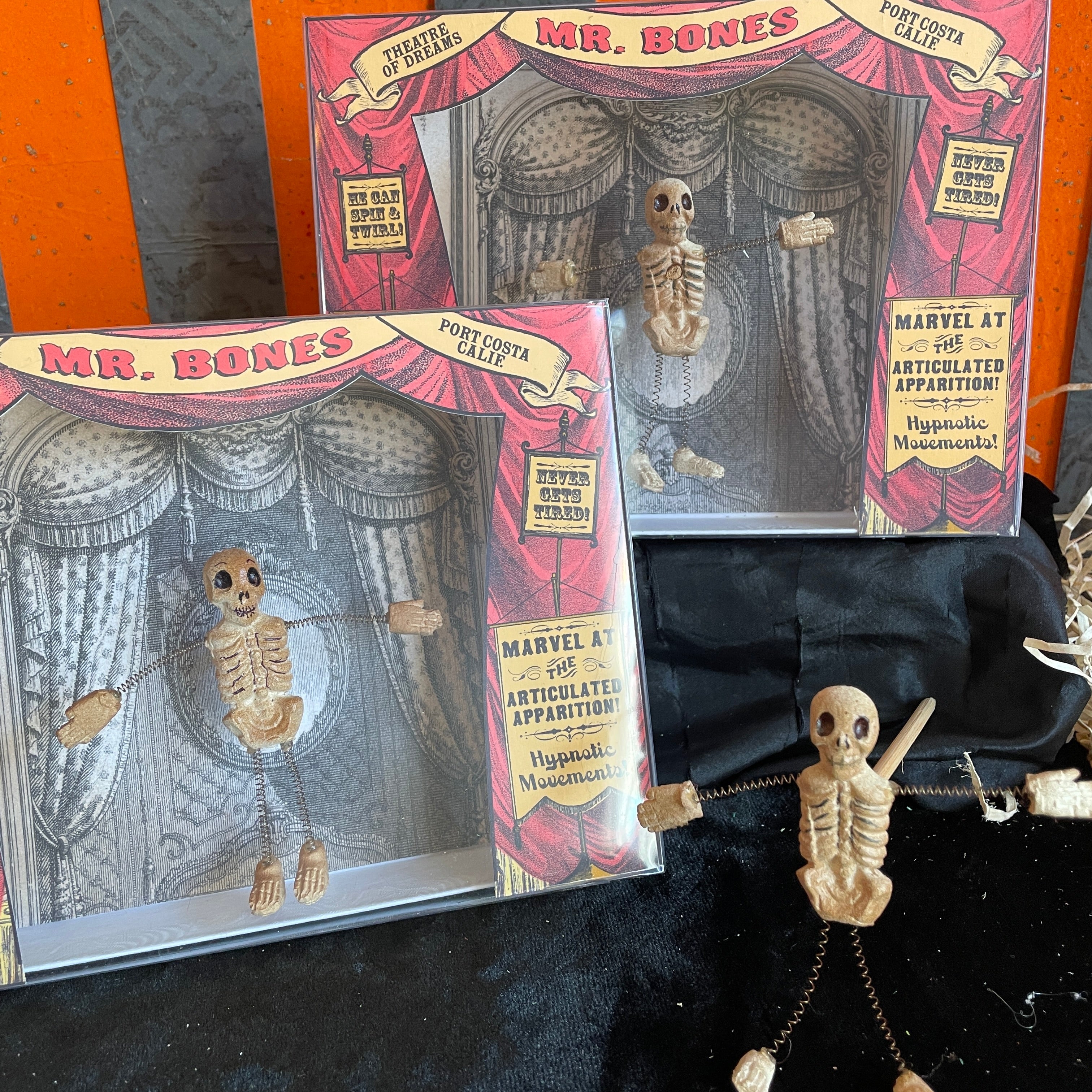 Dancing Mr.Bones Theatre