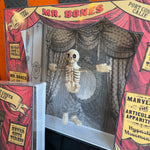 Load image into Gallery viewer, Dancing Mr.Bones Theatre
