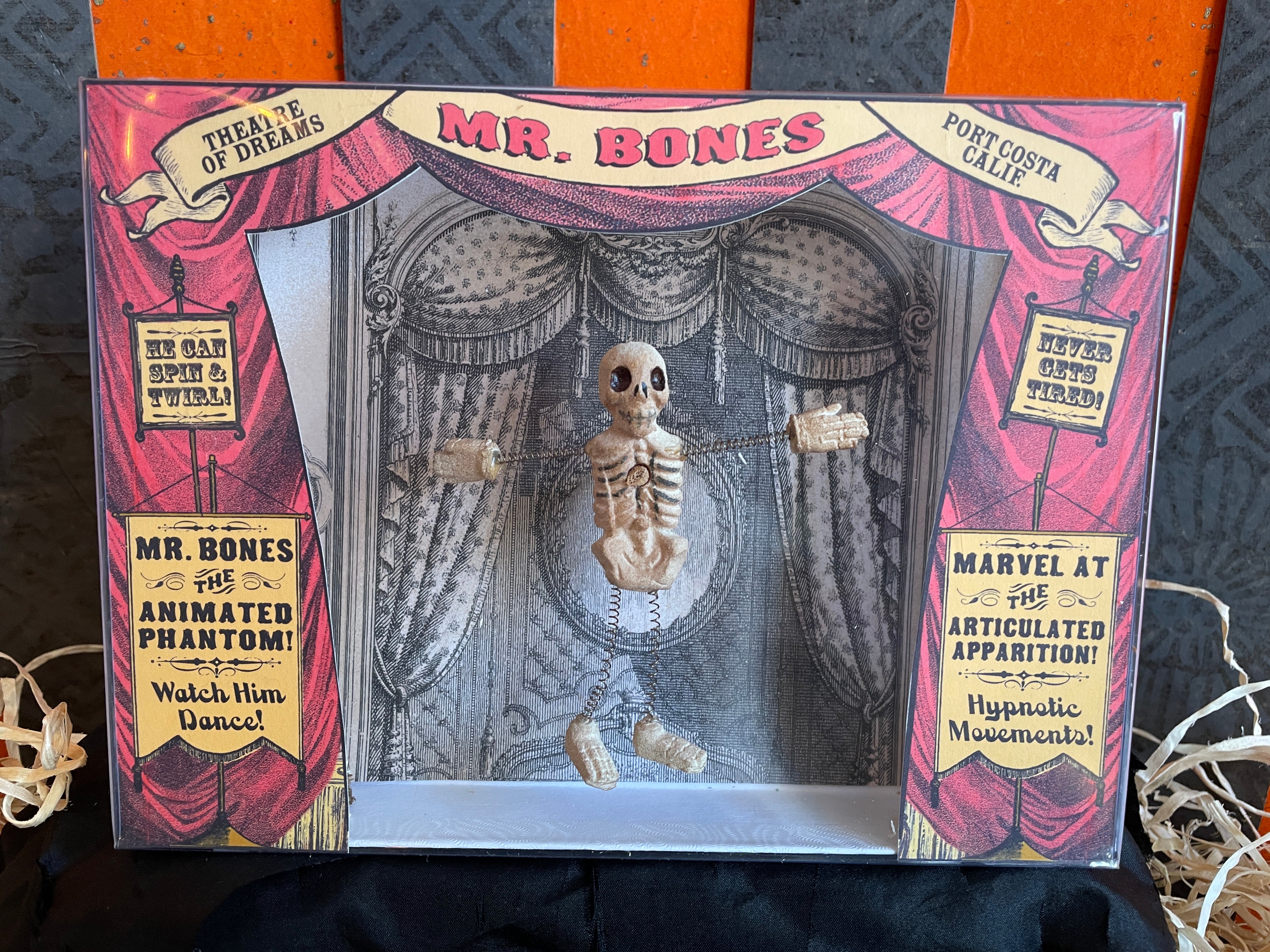 Dancing Mr.Bones Theatre