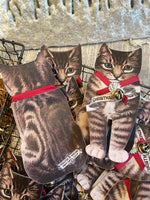 Load image into Gallery viewer, Fold-Out Christmas Kitten
