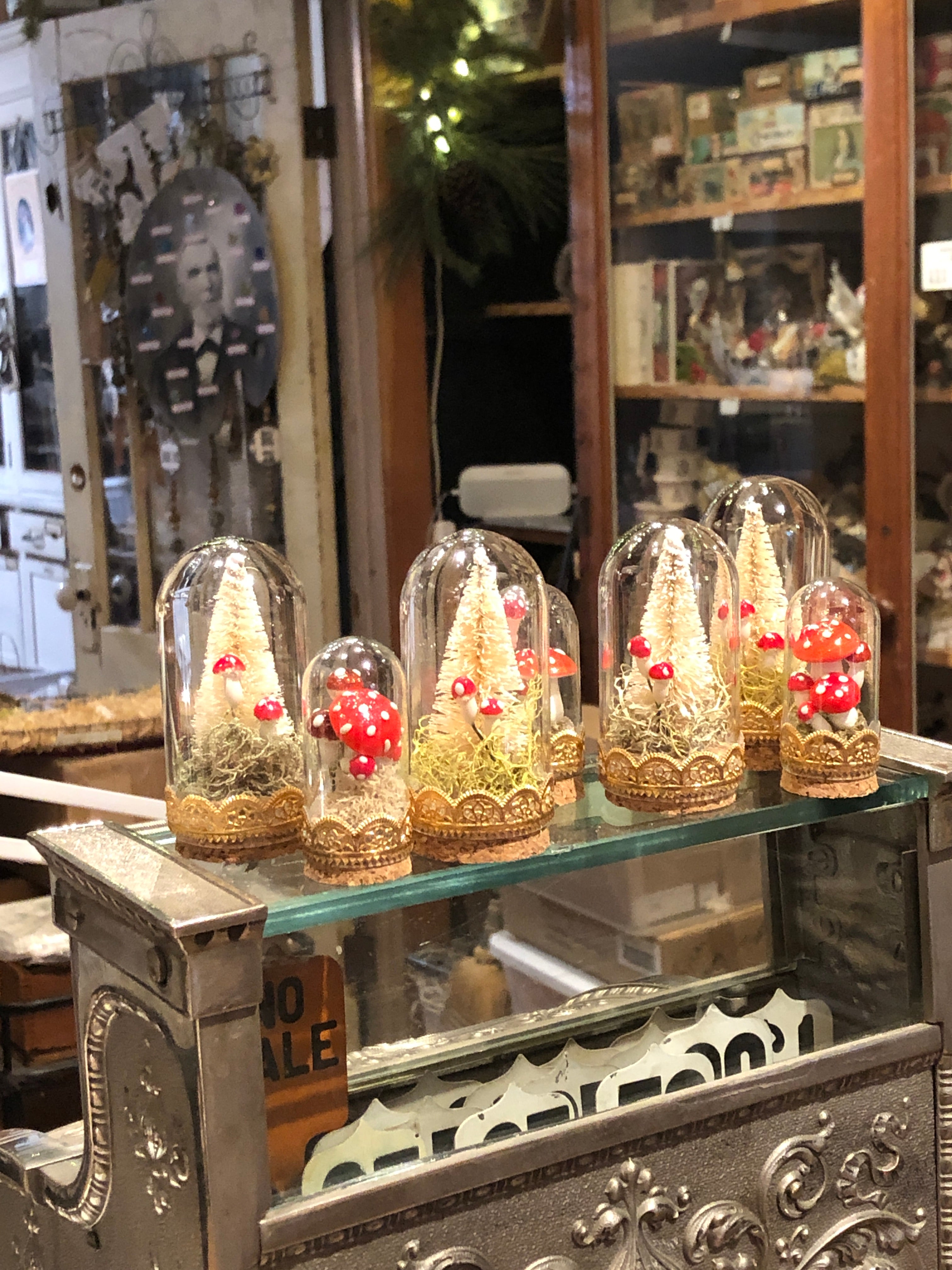 Set of Two Miniature Glass Domes With Tree and Mushrooms