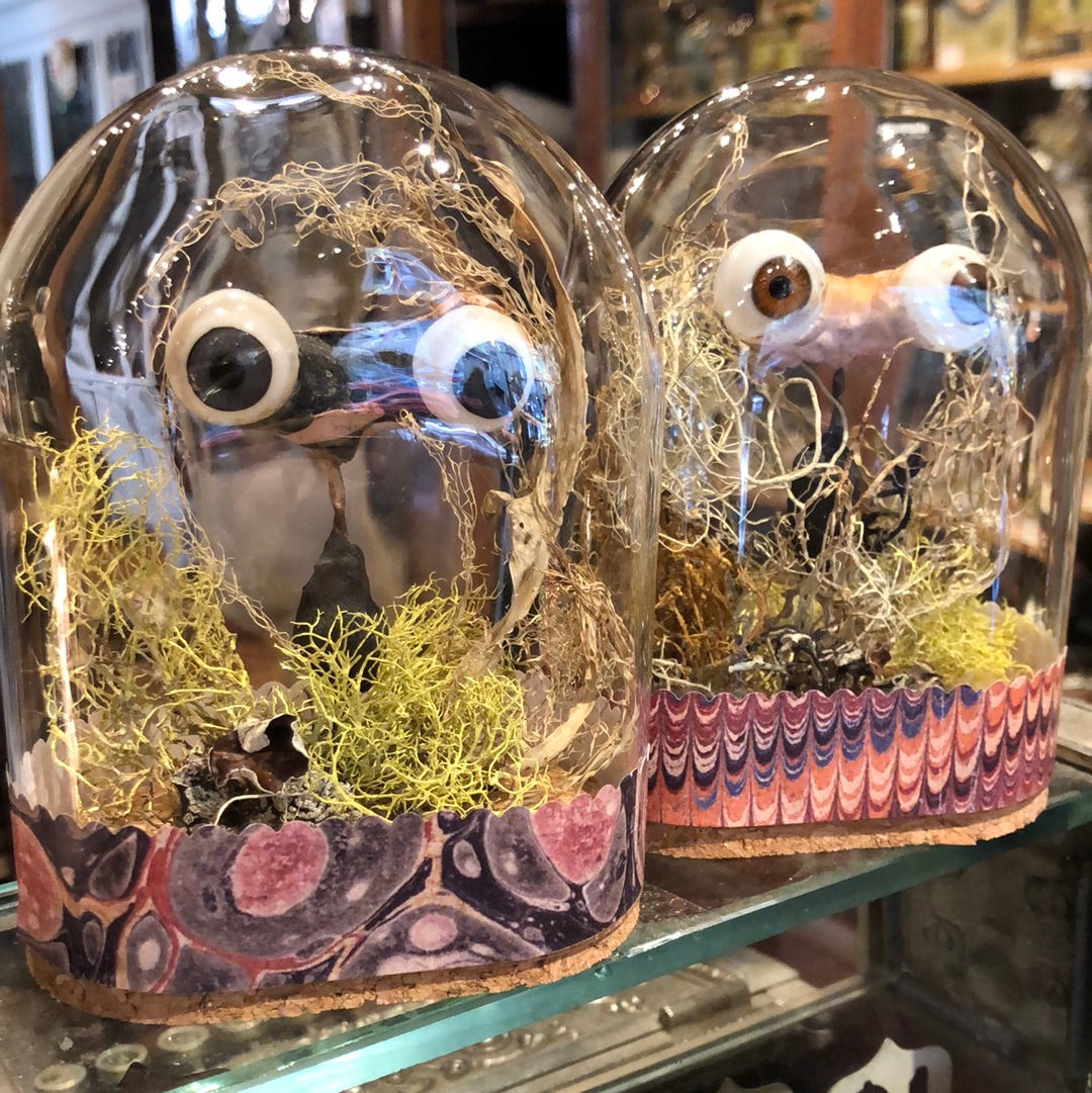 Creepy Eyeball Domes