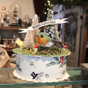 Wintery Bird on Gift Box