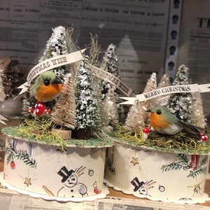 Wintery Bird on Gift Box