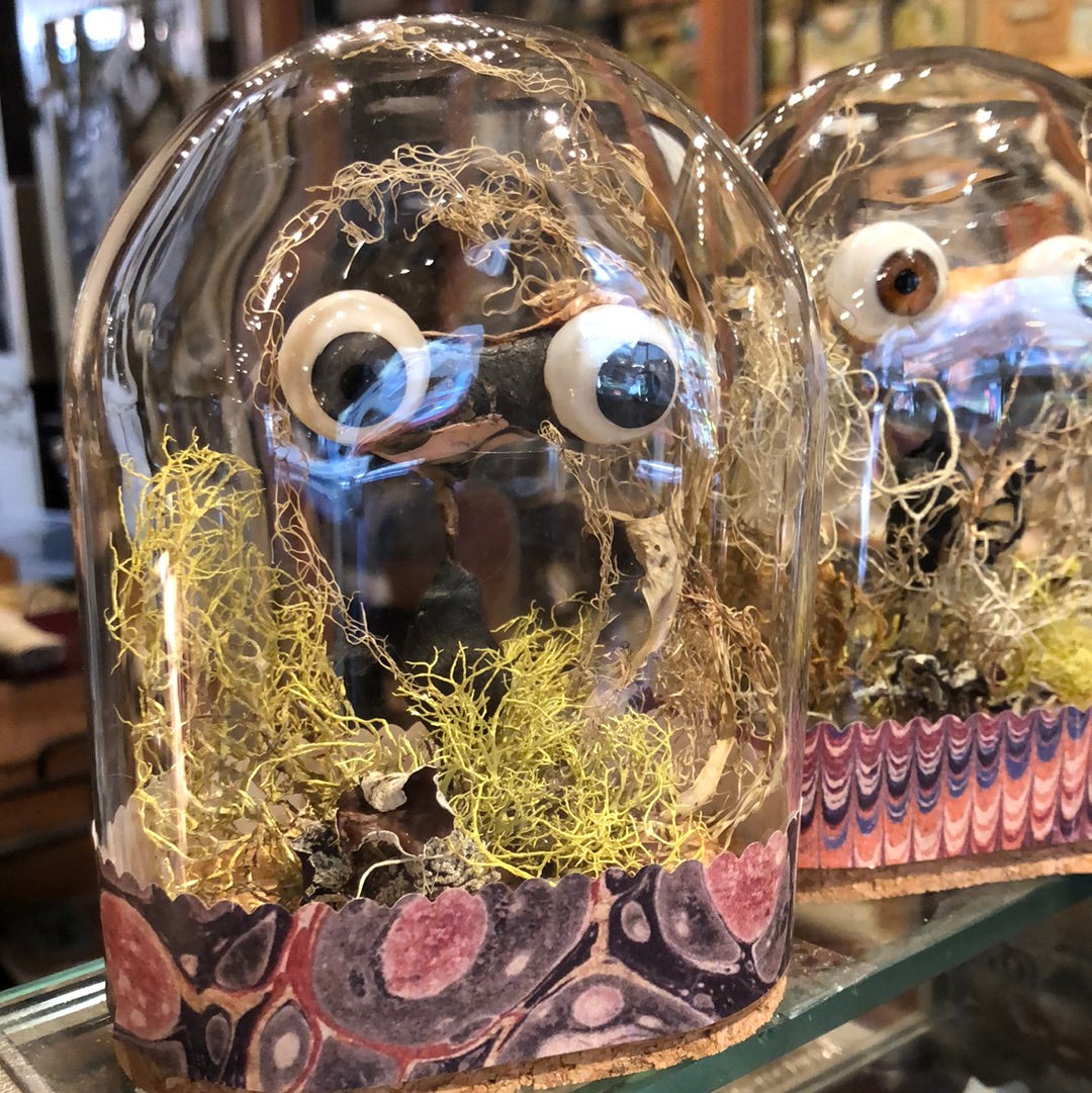 Creepy Eyeball Domes