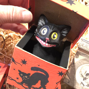 Cat & Skull Surprise Boxes!