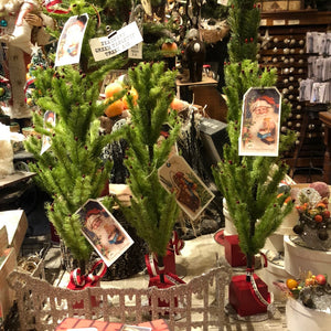 Feathery Green Tabletop Tree