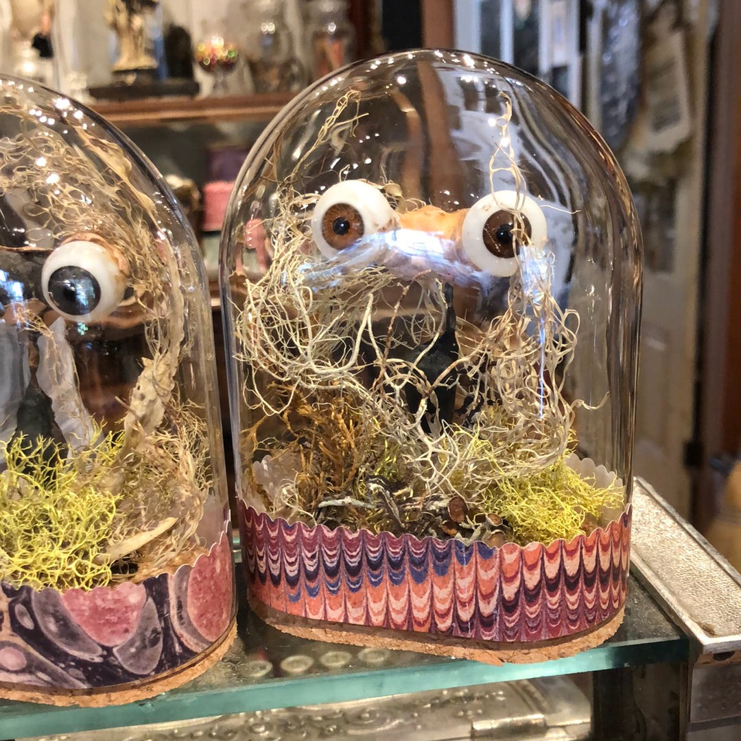 Creepy Eyeball Domes