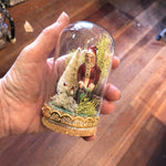 Load image into Gallery viewer, Antique German Woodsman Santa Under Glass Dome
