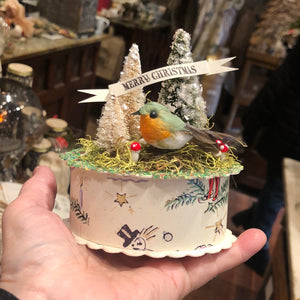 Wintery Bird on Gift Box