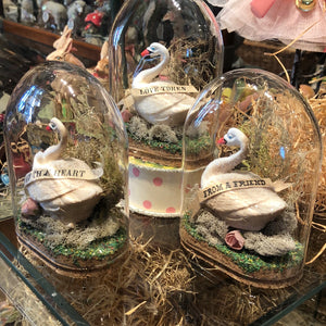 Spring Swan Under Glass Dome