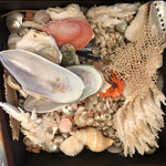 Load image into Gallery viewer, Seashell Memento Class - Materials &amp; Instructional Video
