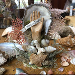 Load image into Gallery viewer, Seashell Memento Class - Materials &amp; Instructional Video
