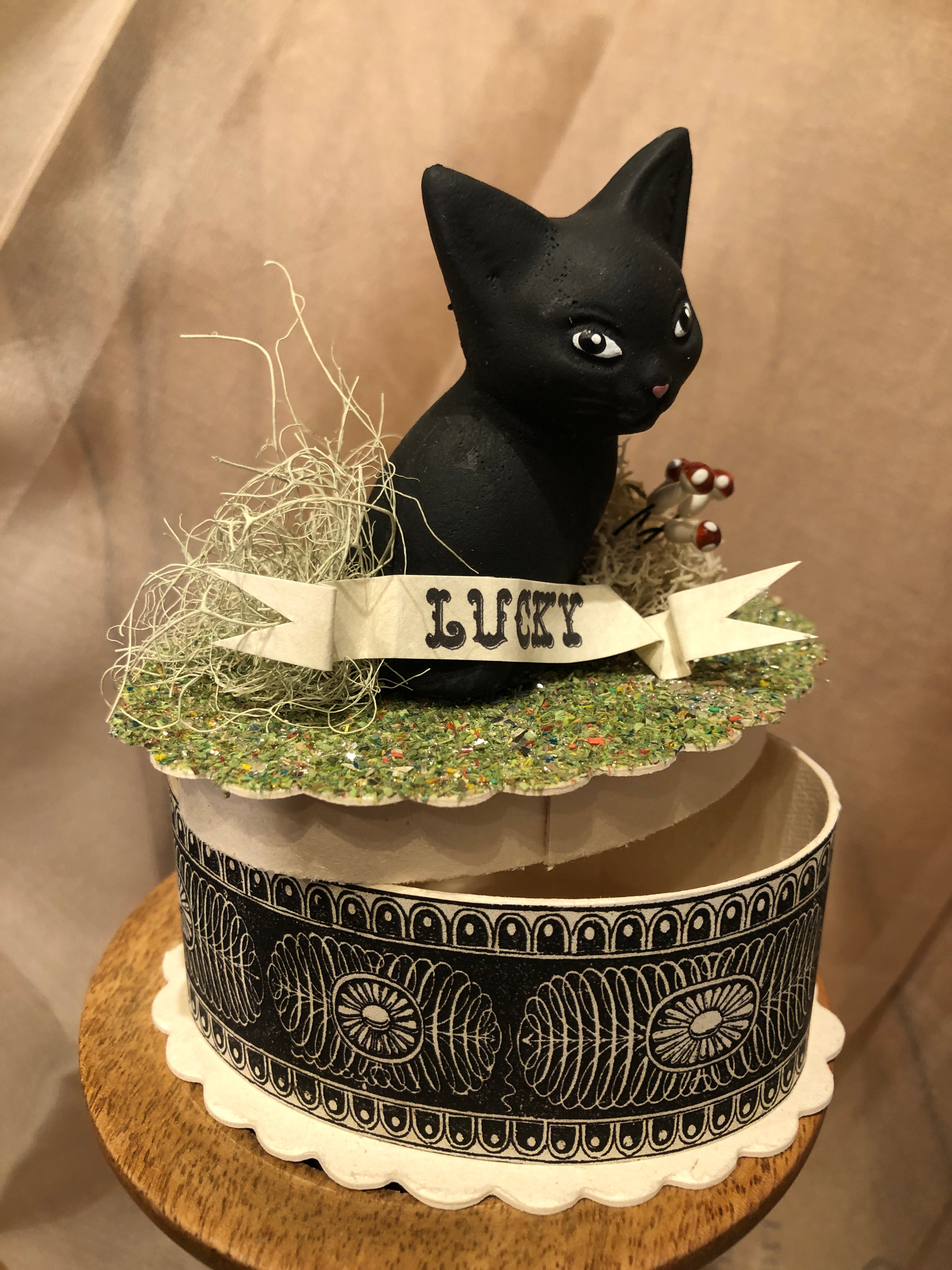 Lucky Black Kitten Box