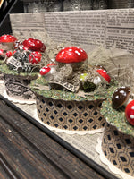 Load image into Gallery viewer, Woodland Mushroom Box

