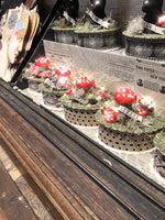 Load image into Gallery viewer, Woodland Mushroom Box
