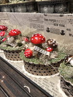 Load image into Gallery viewer, Woodland Mushroom Box
